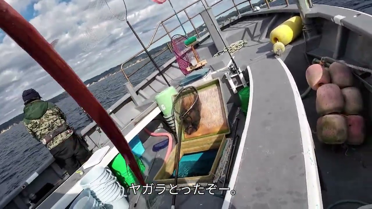 勝浦松部マハタ釣り後編