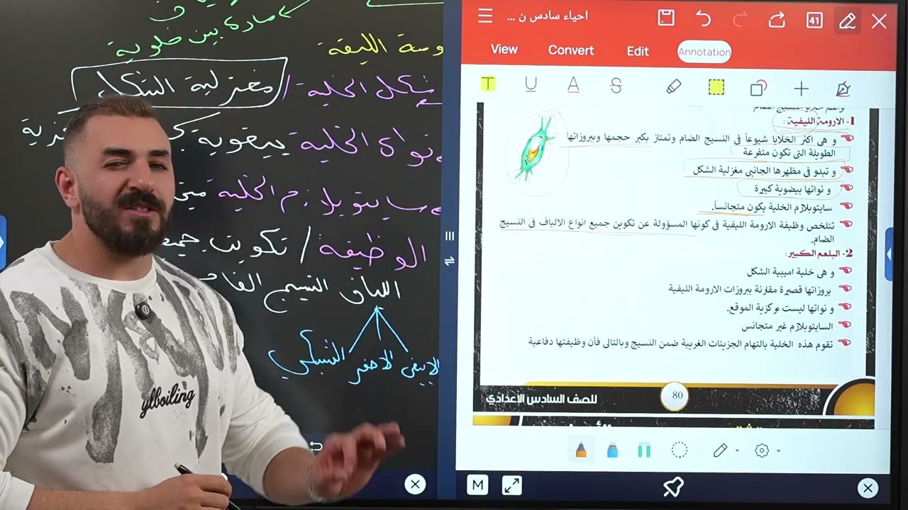 النسيج الضام السادس اعدادي
