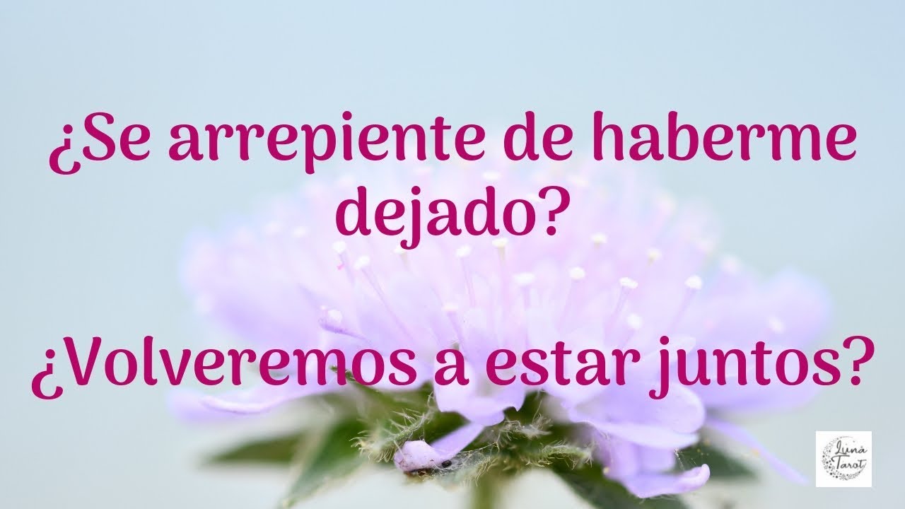 💔¿Se arrepiente de haberme dejado? 💔¿Volveremos a estar juntos? 💕- 🌛TAROT INTERACTIVO🌜