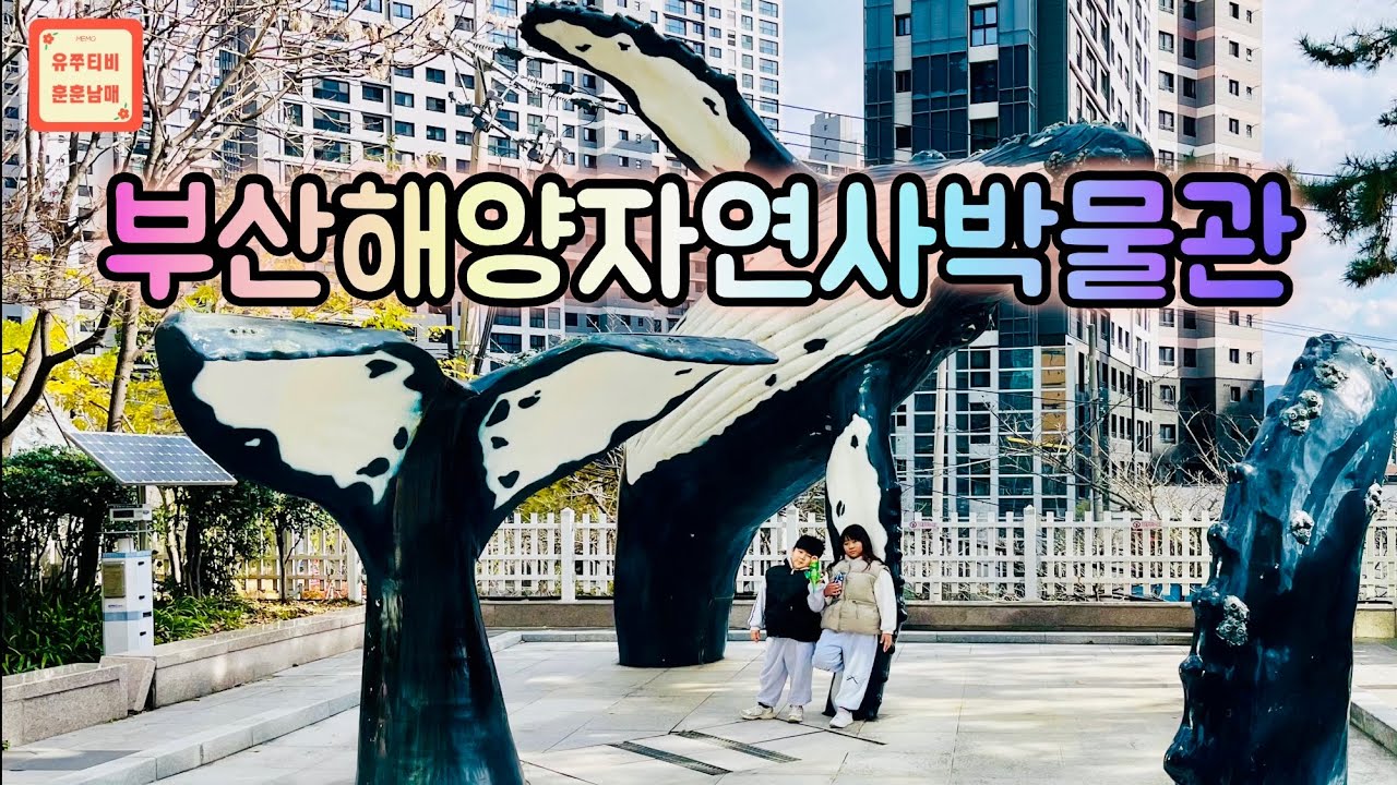 [4K] 🐳 이게 다 무료예요??? 부산 해양자연사박물관에서 놀다왔어요!! #2024 #❤️