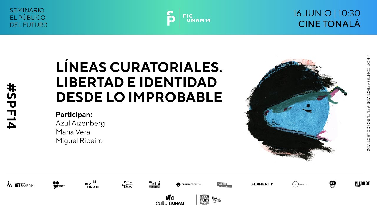 Líneas curatoriales. Libertad e identidad desde lo improbable.