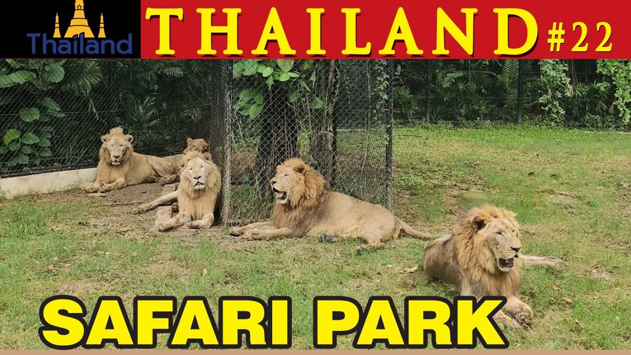 11  EP-54 Safari Park @ Safari World l Travel Tag l Malayalam 