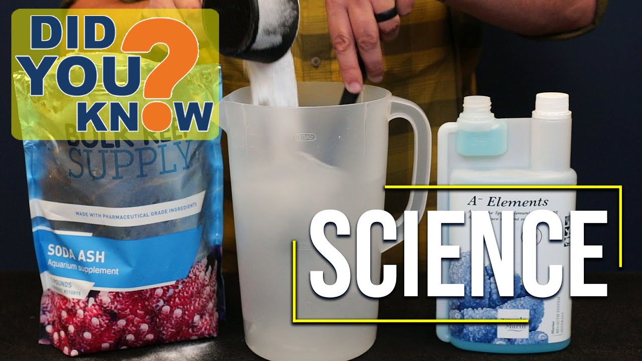 The Science Behind Reef Tank Calcium & Alkalinity That Every Reefer Needs to Know!