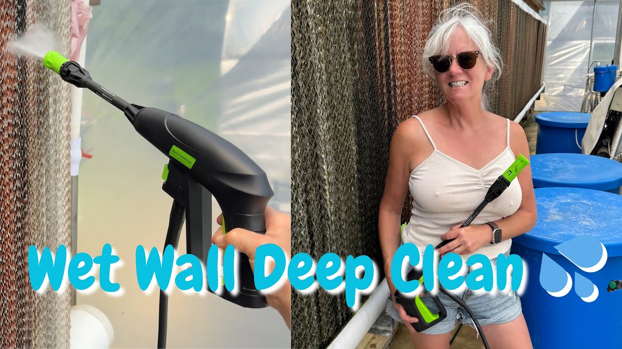 Greenhouse Wet Wall Cleaning 🌱 Pressure Washer Demo