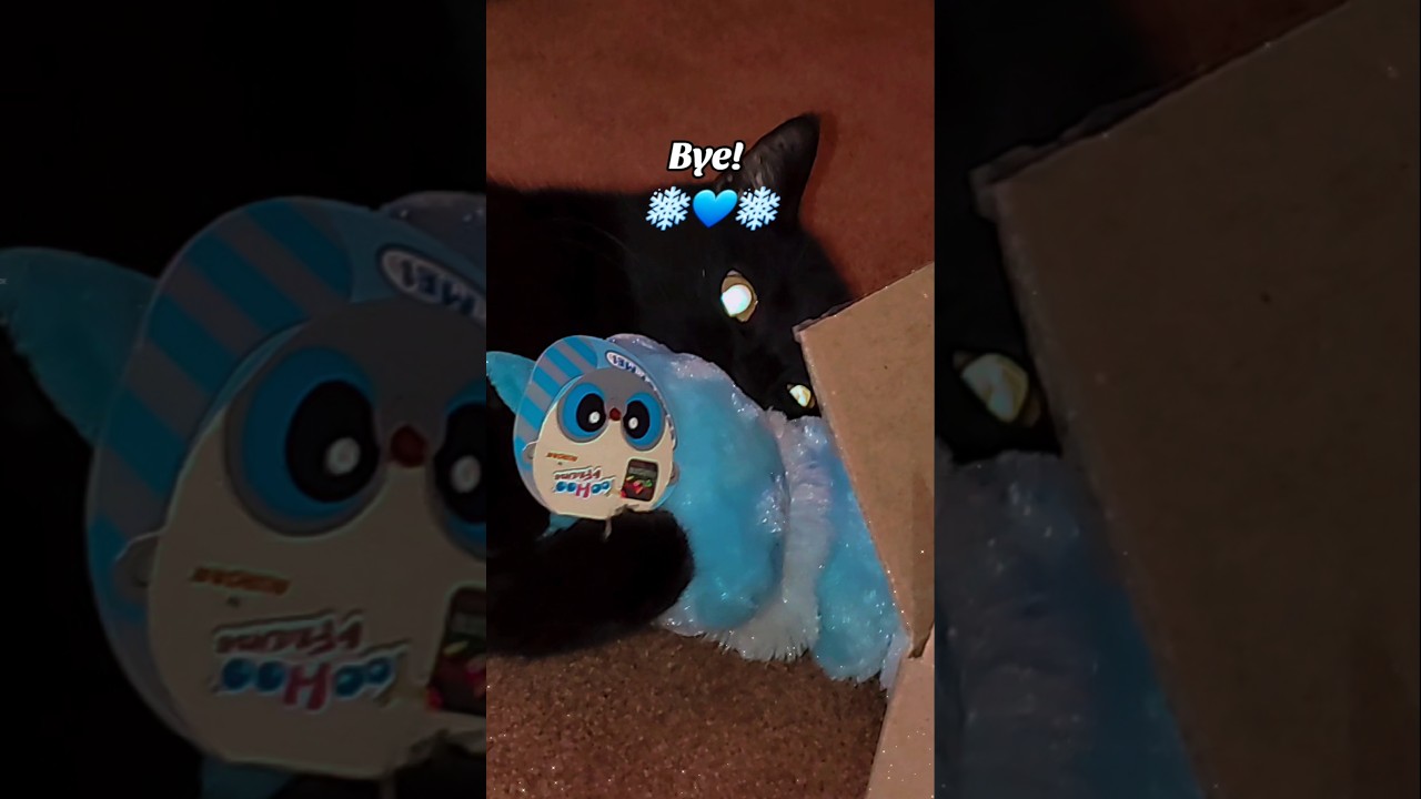 #UNBOXING