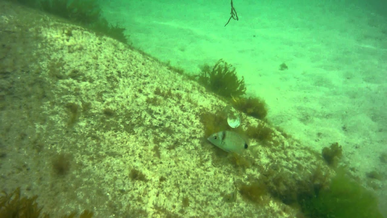 20120725