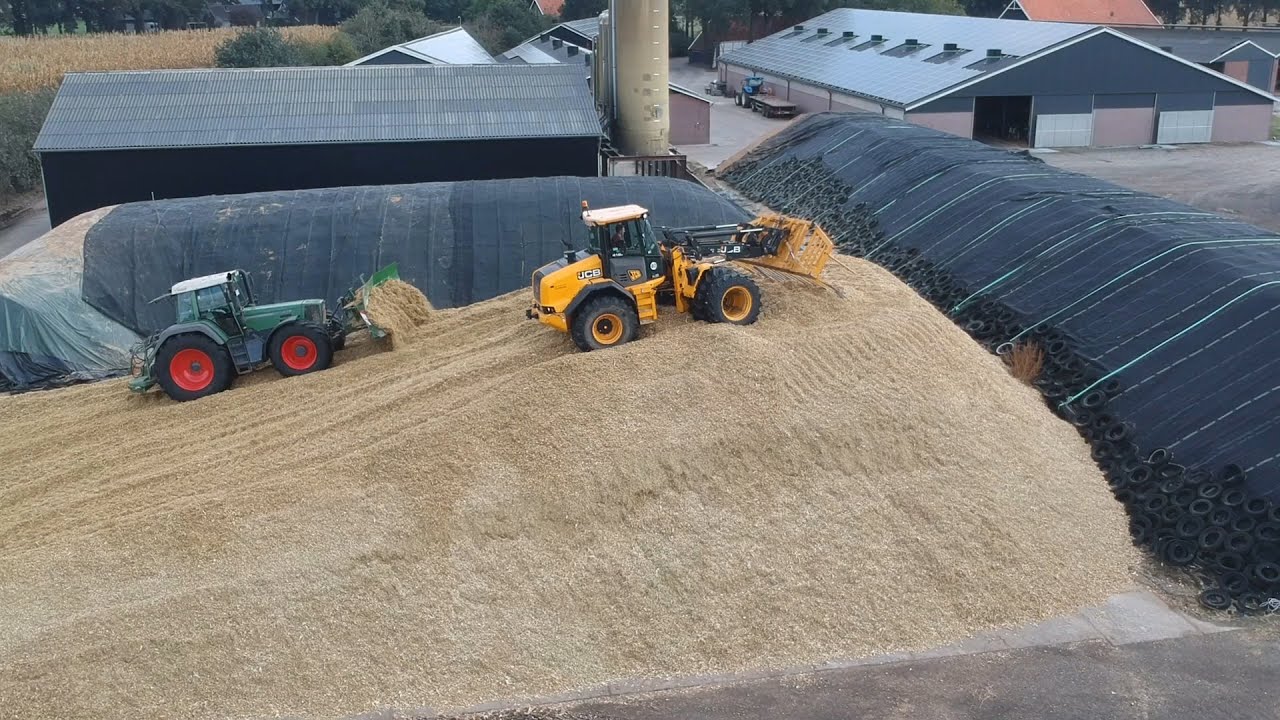 Steenweg chopping corn