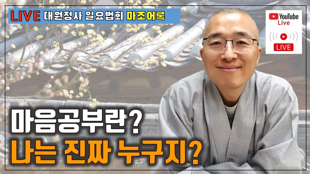 [마조20] 진짜 나는 누구지? 마음공부는 이것을 깨닫는 것! 심생멸, 심진여