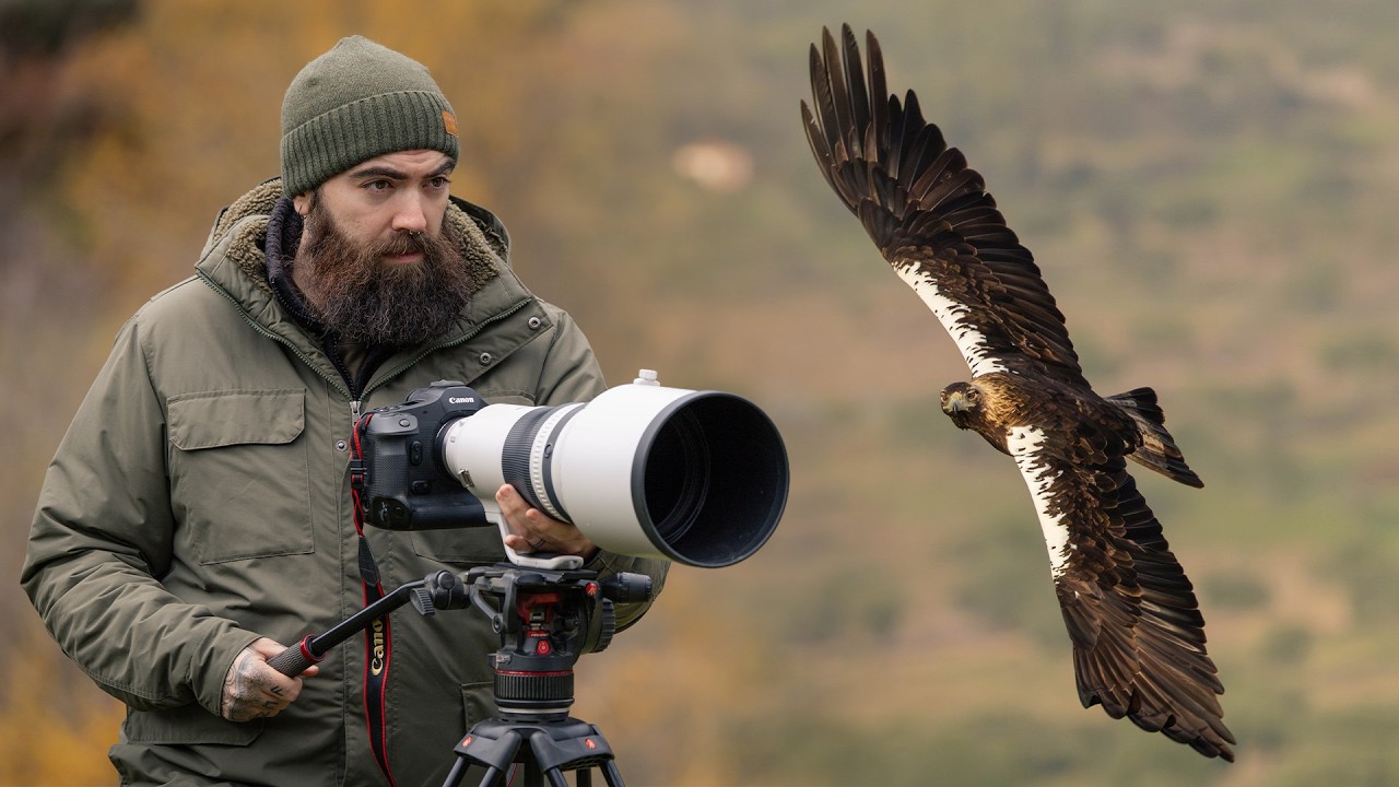 Extremadura, el paraíso natural de Europa 🦅 Fotografia de fauna