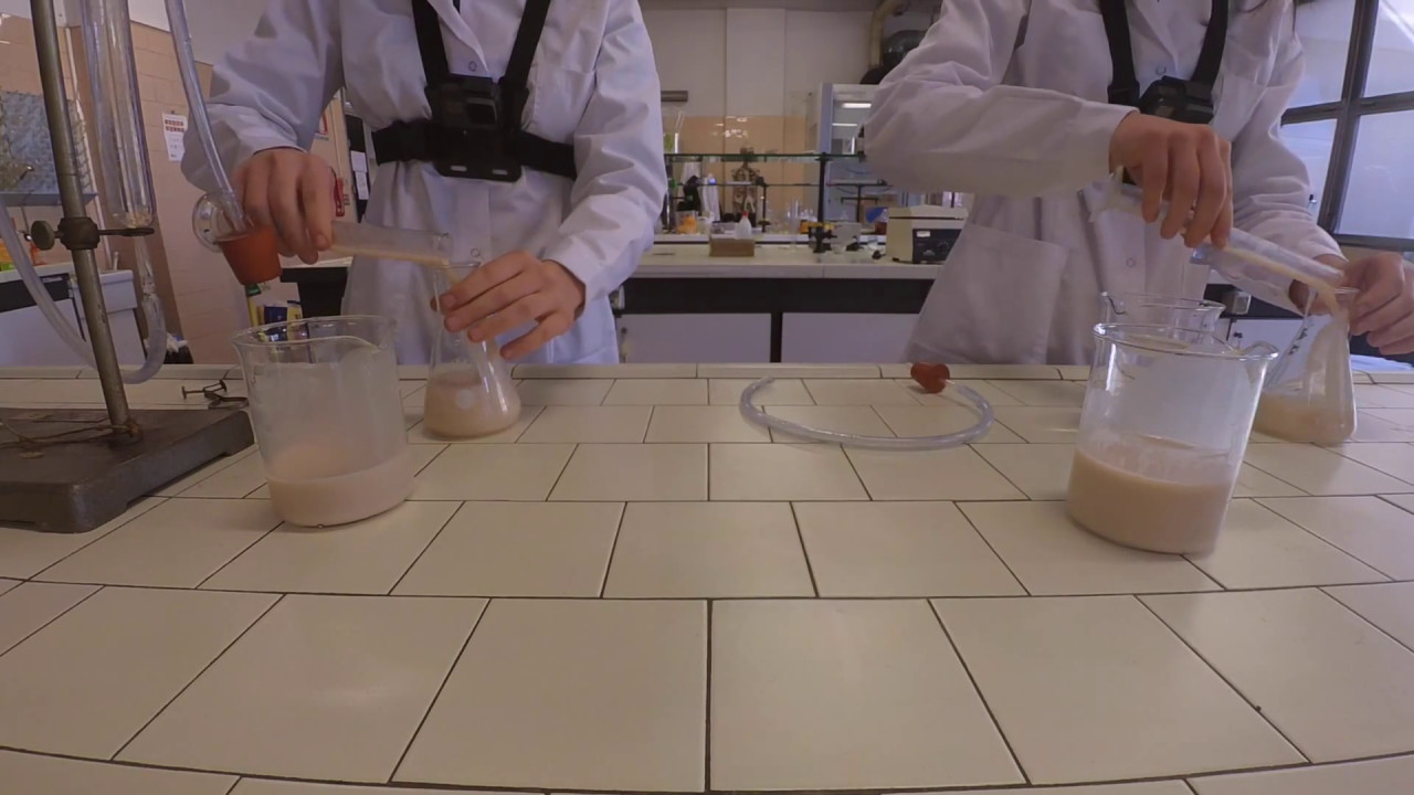 La fermentazione alcolica