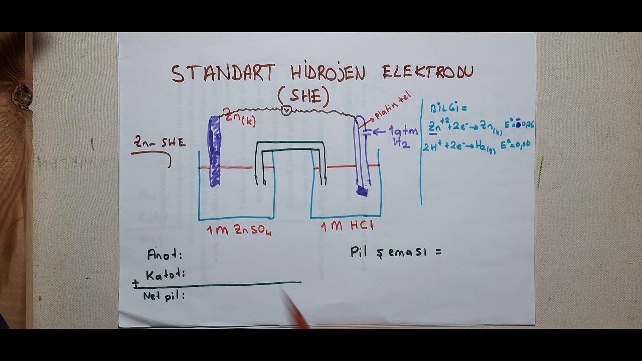 STANDART HİDROJEN ELEKTRODU(SHE)       (Pıller-2)