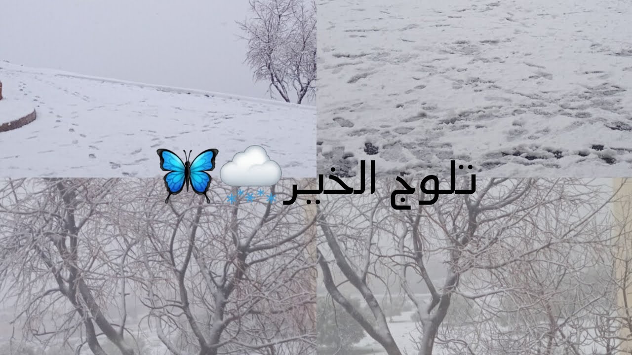 طاح التلج وخرج كولشي باش يلعبو 🦋🌨باش يتمتعو بالتلج🩷🌷الحمدالله يارب🤲🏻❤️