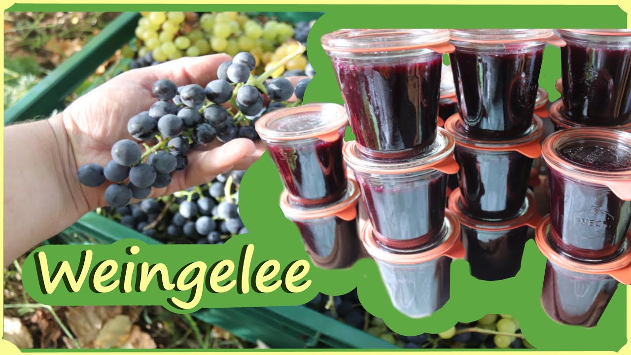 Weinernte & Weingelee herstellen & Apfelernte