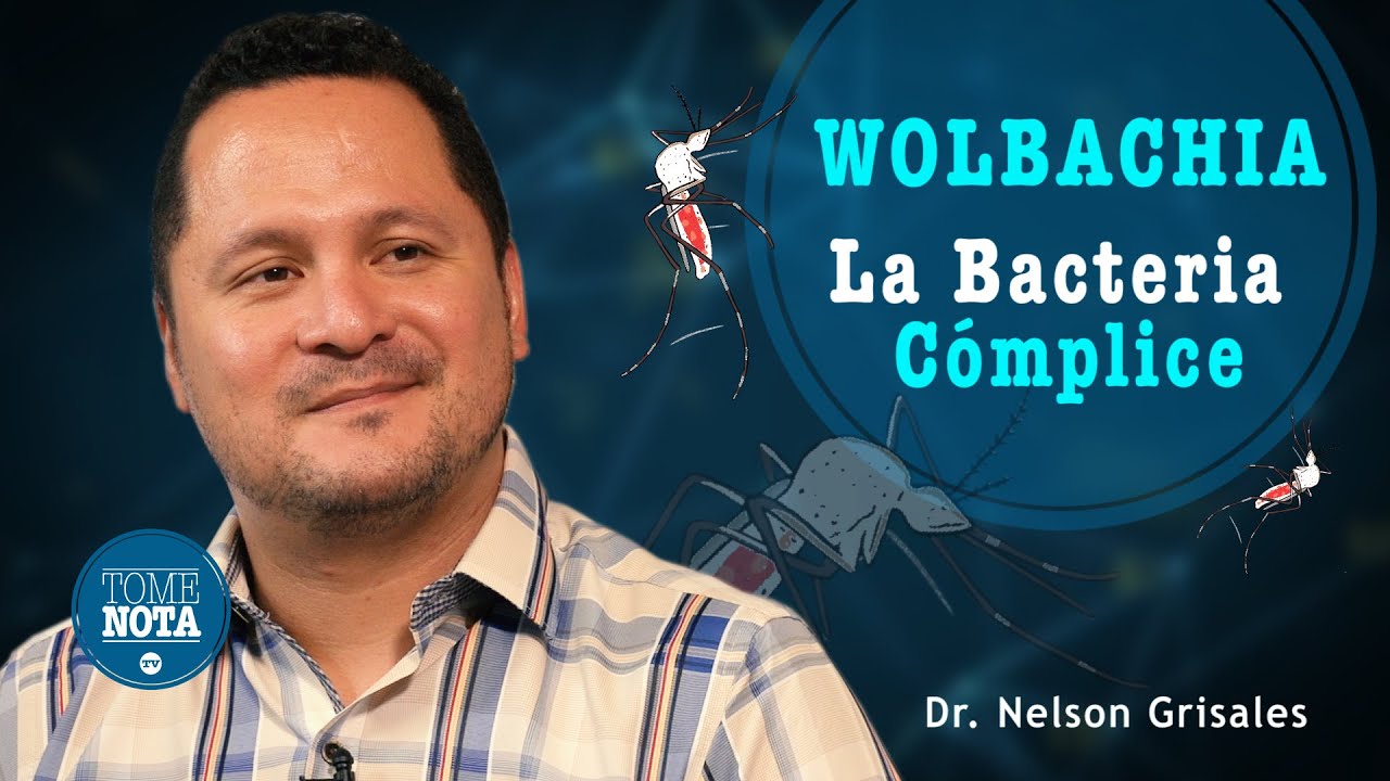 Wolbachia: La Bacteria Cómplice · Dr. Nelson Grisales · World Mosquito Program