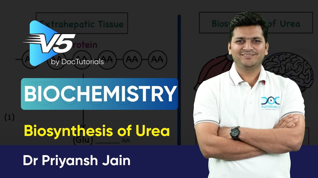 Biochemistry: Urea Biosynthesis  | DocTutorials V5 Sample Video by Dr Priyansh Jain