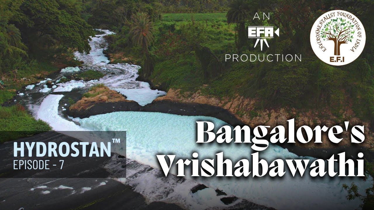 Bangalore's Vrishabawathi | Hydrostan by EFI-EFA