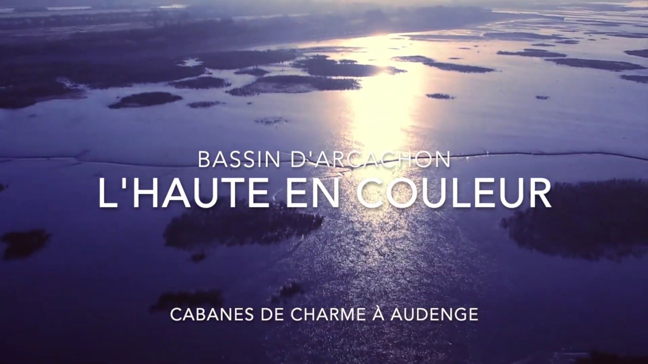 L'HAUTE EN COULEUR - CABANES AVEC SPA - BASSIN D'ARCACHON