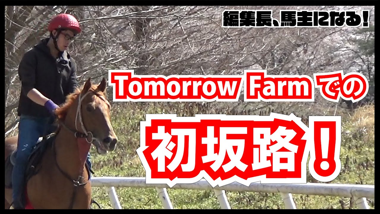 【編集長馬主になる！】#25　パカラボーイ、Tomorrow Farmでの初坂路！