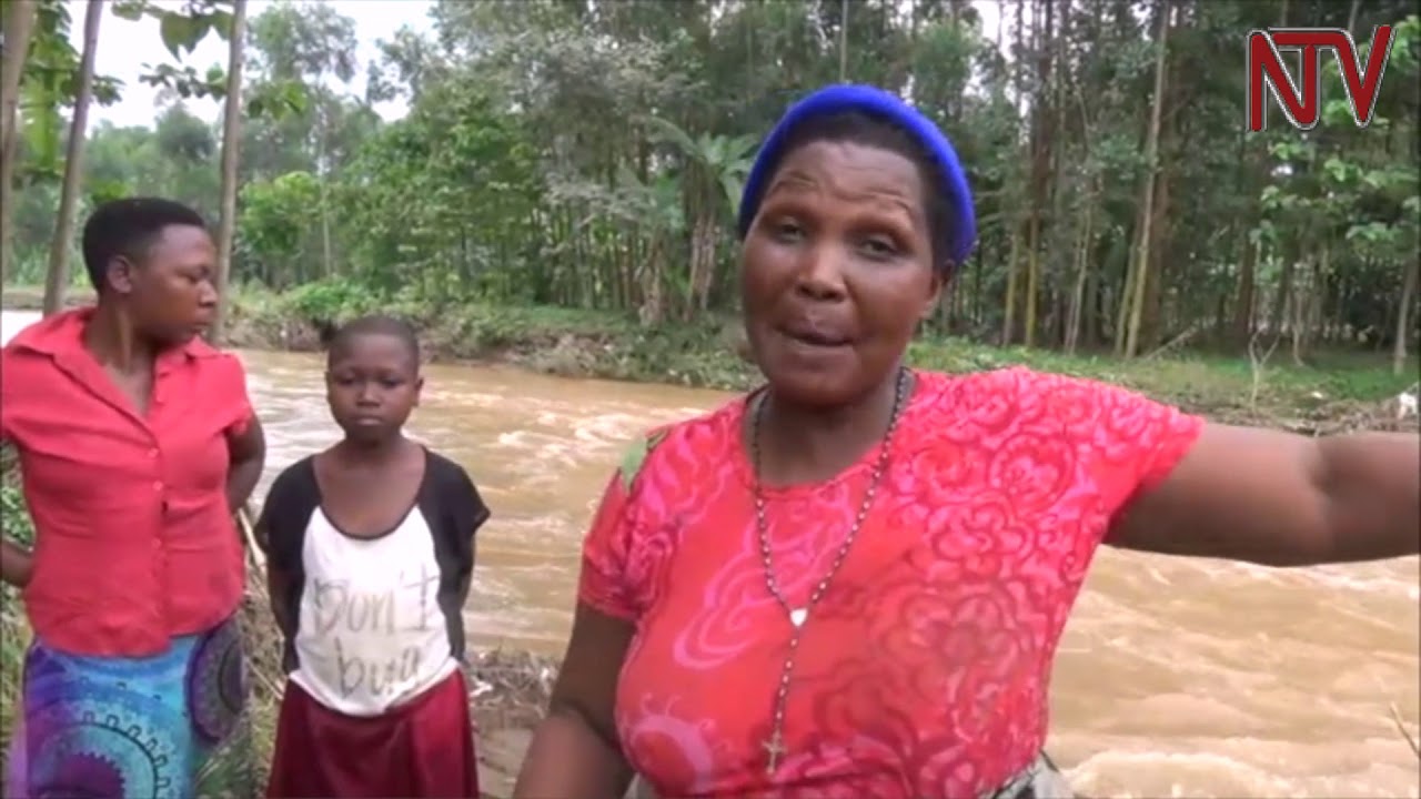 Heavy rains destroy bridges and farms in Manafwa district