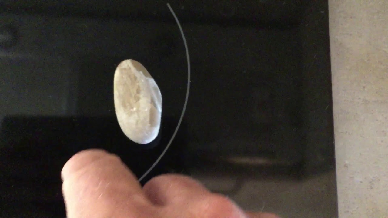 Rattleback from nature