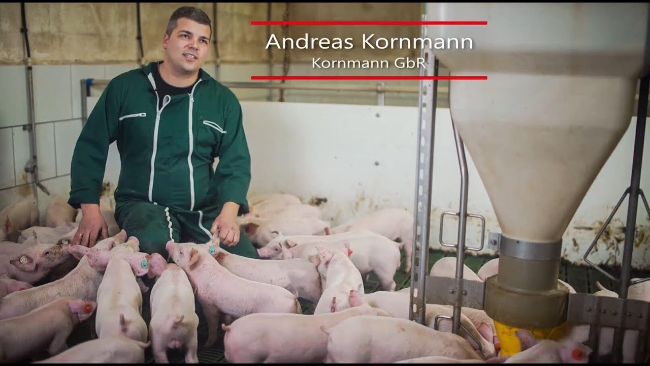 Ferkelerzeuger Andreas Kornmann - die Realität in der Schweinehaltung