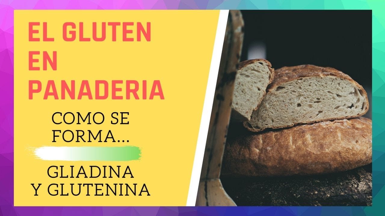 EL GLUTEN EN PANADERIA ( Como se une la GLIADINA y GLUTENINA)