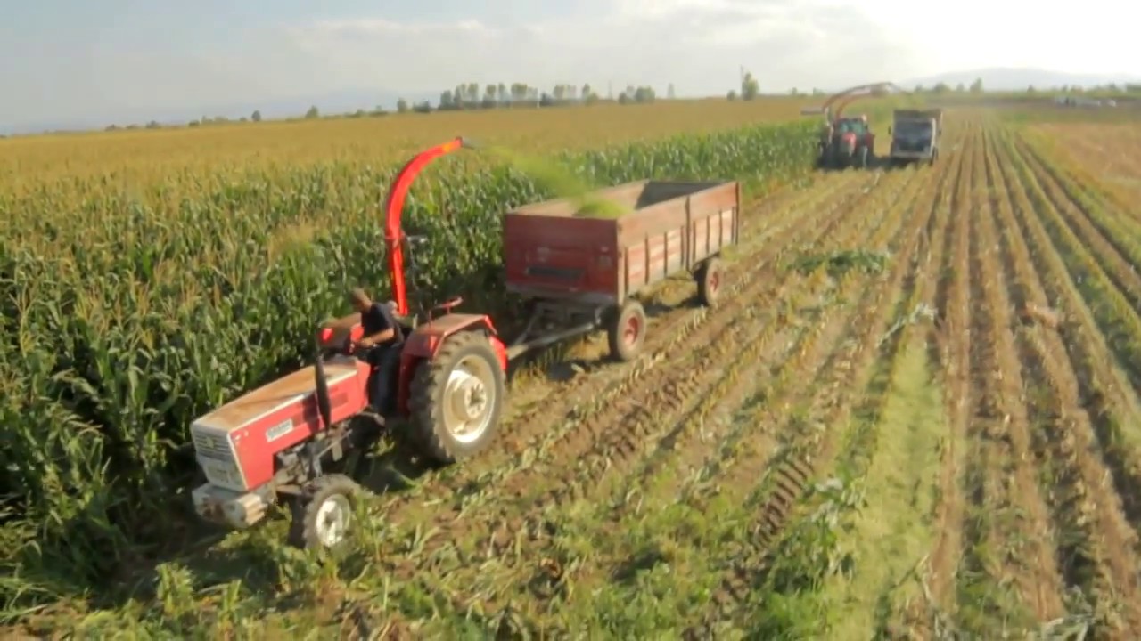 FIMAKS MS12SL | COSECHADORA DE SURCO 🌾 | Hilerados | Maquinaria Agrícola | Ensiladora de Maíz |