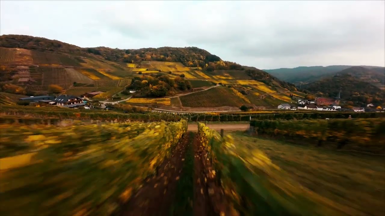 Surfin the vineyards / Mayschoß / Cinematic FPV / betaFPV Pavo20 Pro / DJI O4 Air Unit Pro