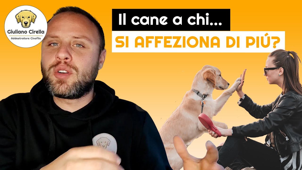 🐶 Il Cane a Chi si Affeziona di Più e in Che Modo? | Giuliano Addestratore