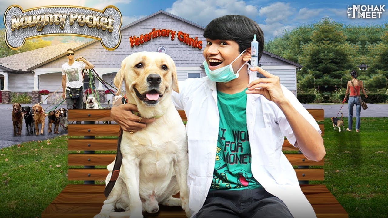 DOG SHORT FILM | NAUGHTY POCKET | DOG VACCINATION | LABRADOR || MOHAK MEET ||  SEEMA