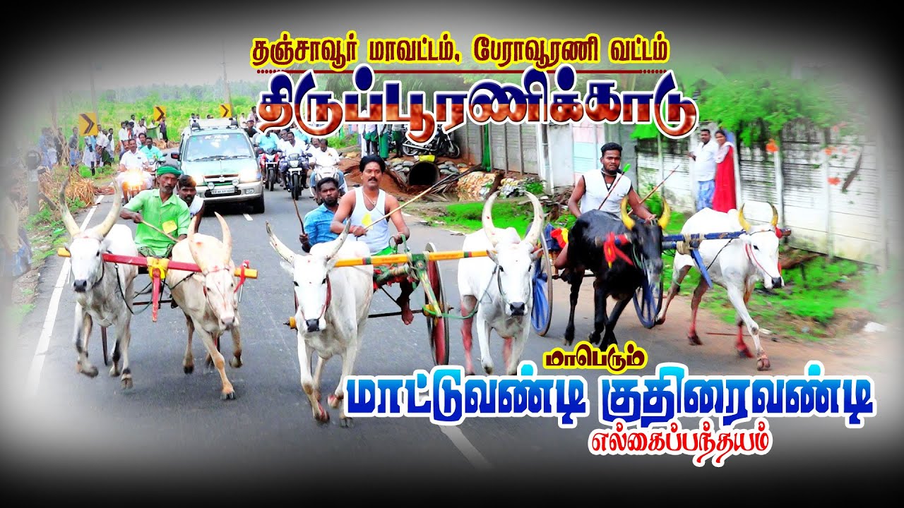 திருப்பூரணிக்காடு-பந்தயவிழா 07.05.2023#rekla_race2022#perairajstudio