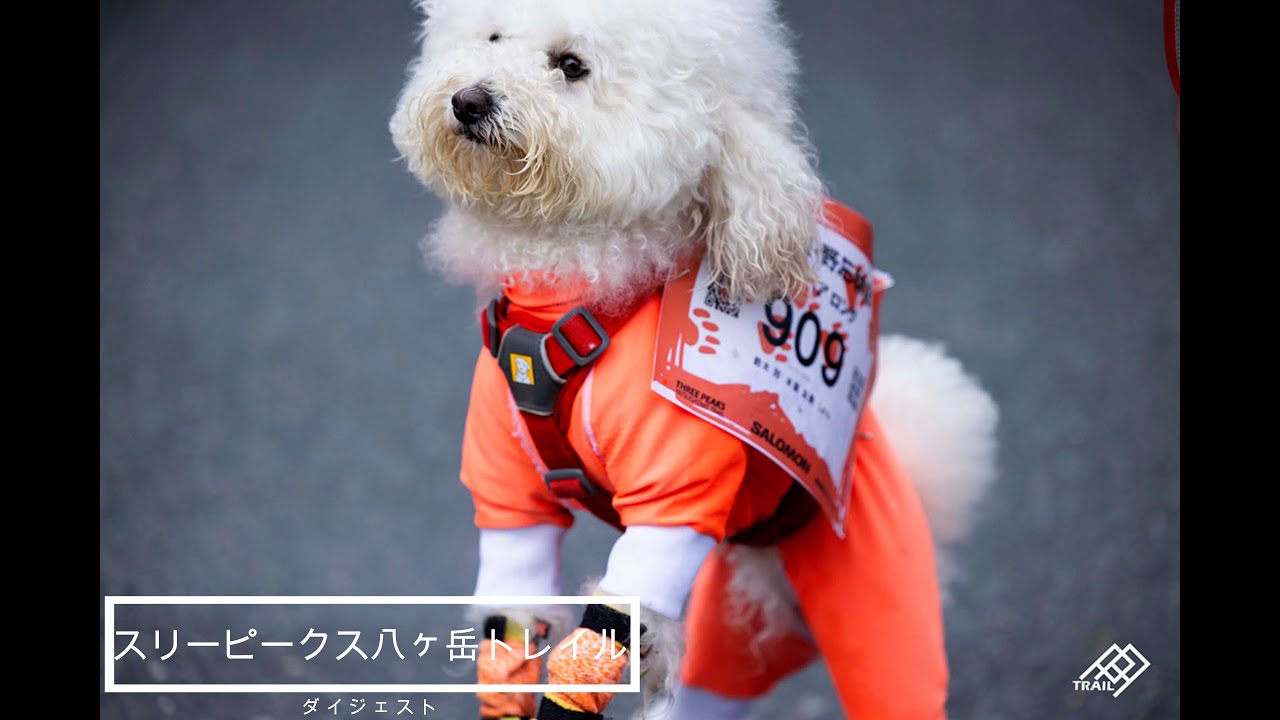 スリーピークス八ヶ岳トレイル2025 ダイジェスト
