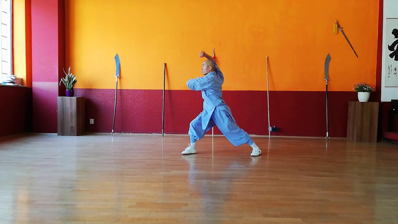 Shaolin KungFu Form XiaoHongQuan