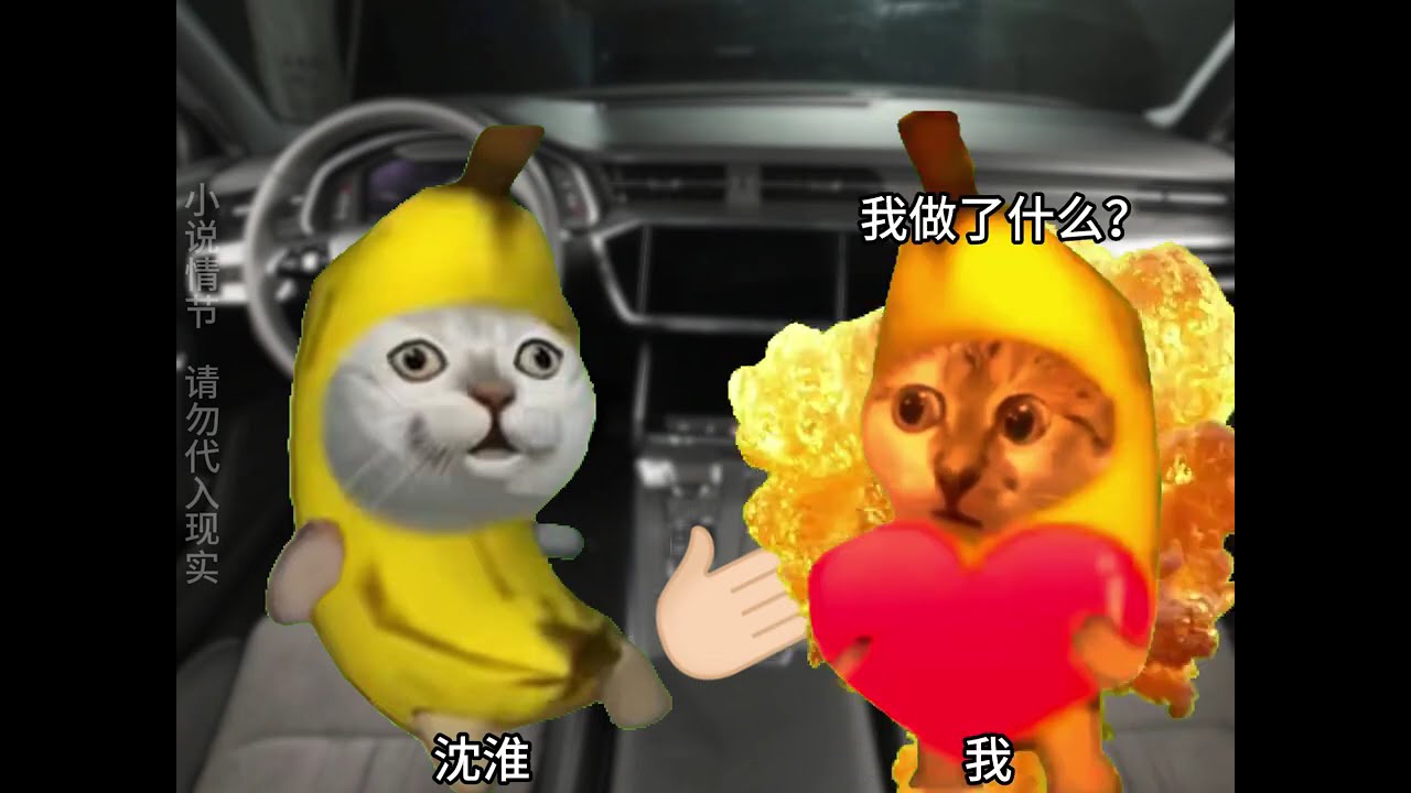 受情伤买醉，却意外邂逅一位极品帅哥#猫meme #猫meme故事 #猫meme小剧场 #猫meme日常