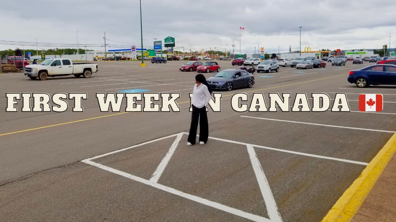 Моя первая неделя в Канаде (Новая Шотландия) 🇨🇦 | SIN, банковский счёт, новая SIM-карта, покупки,...