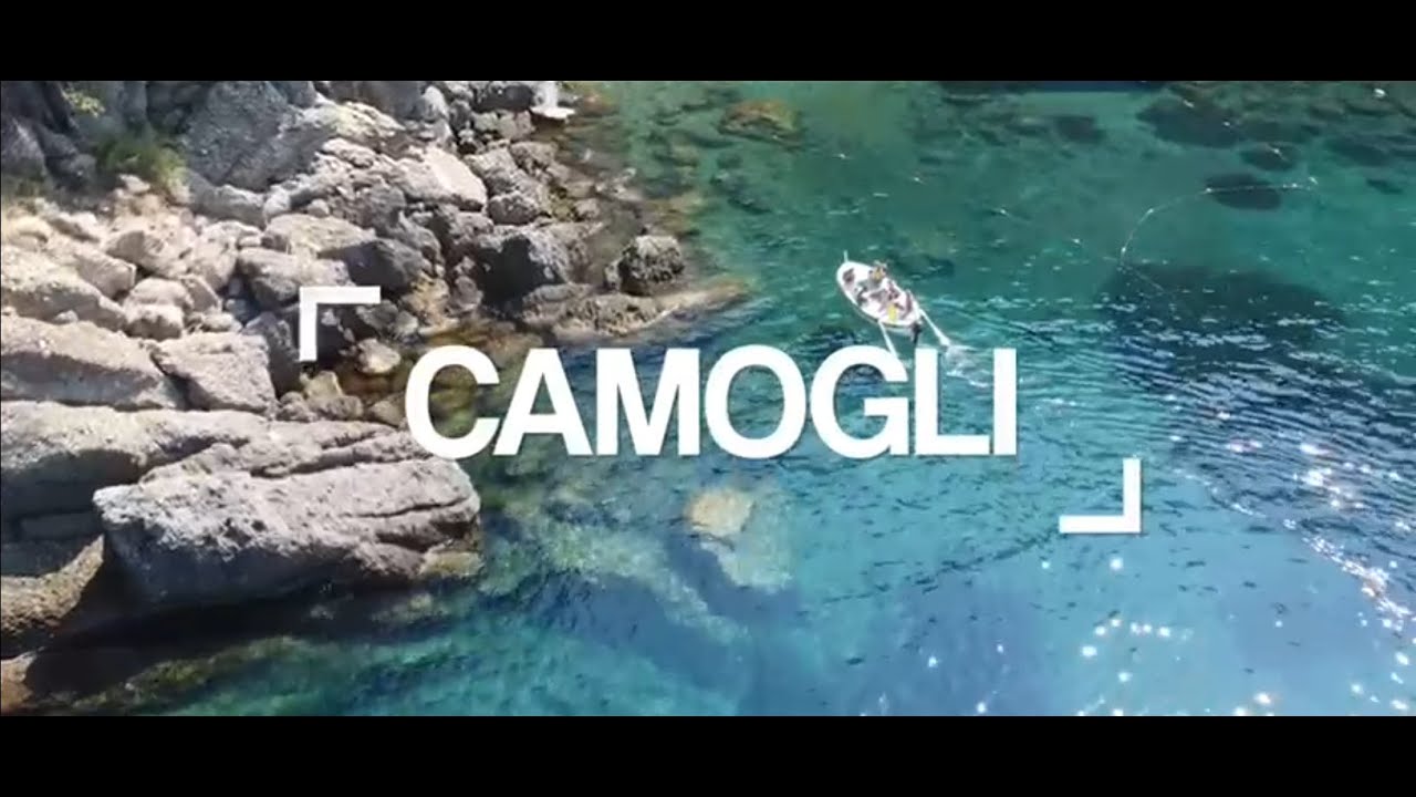 Liguria 77 - Camogli