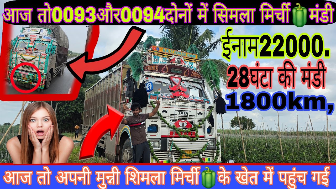 सांगोला टू दिल्ली एक्सप्रेस मण्डी शिमला मिर्ची🫑🫑//vlog//बहुत ही कम समय मिला है #😱 #mewatidriver 