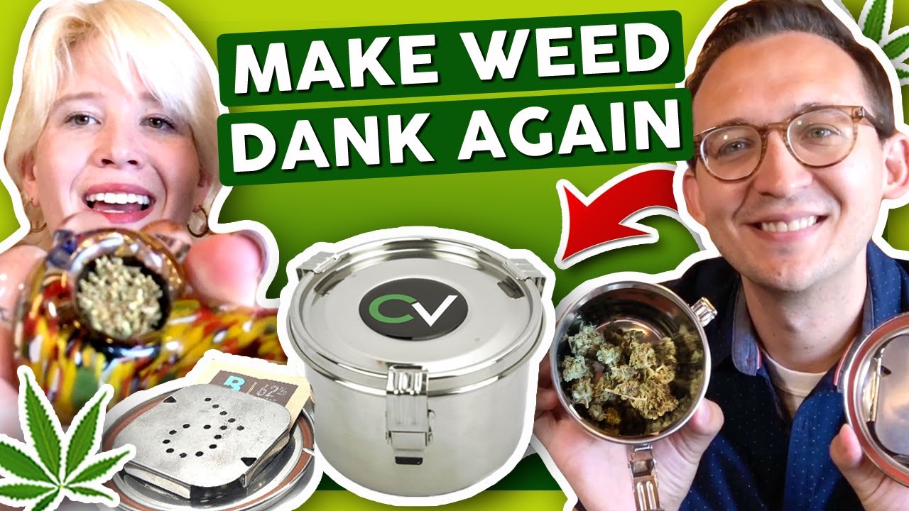 How to Fix DRY WEED [Professionally]