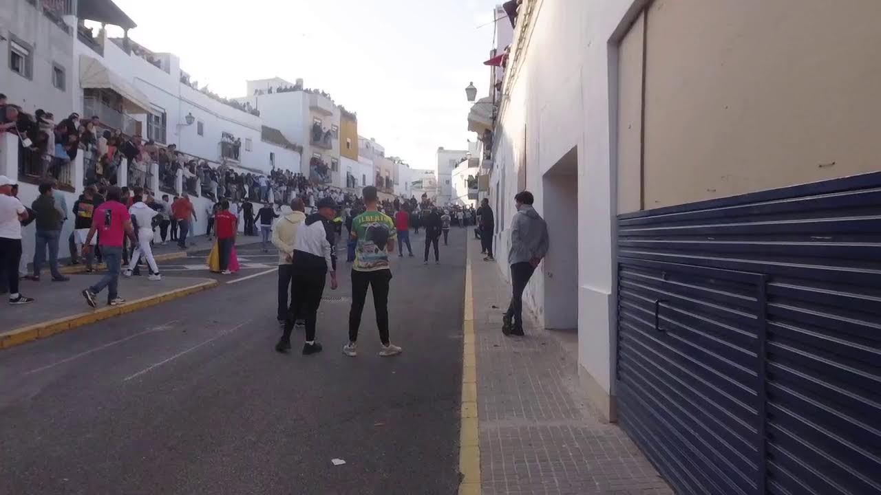 Toro del aleluya sabado 19:00 2025