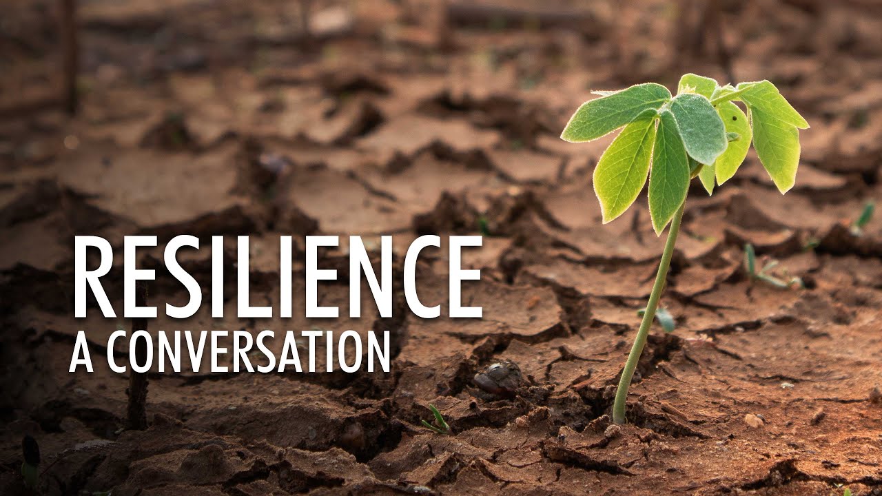 Resilience: A Conversation