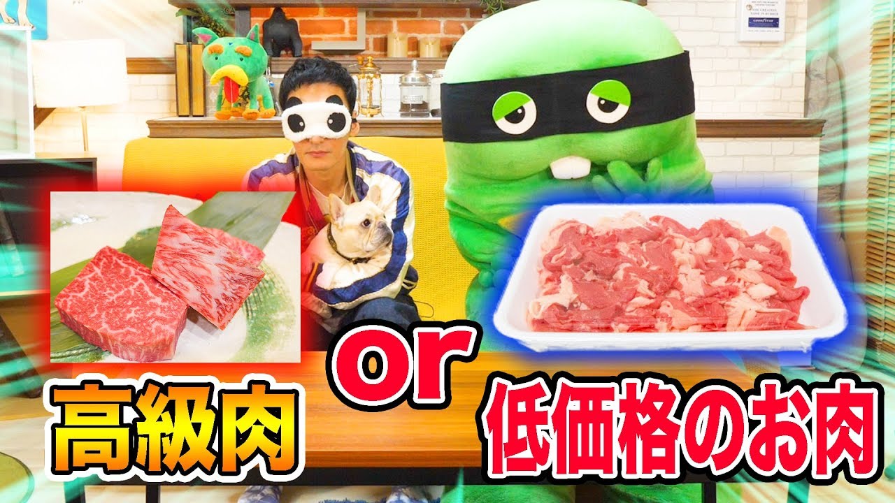 【負けたら映る価値なし！？】芸能人格付けチェック！【ガチャピンVS草彅剛】