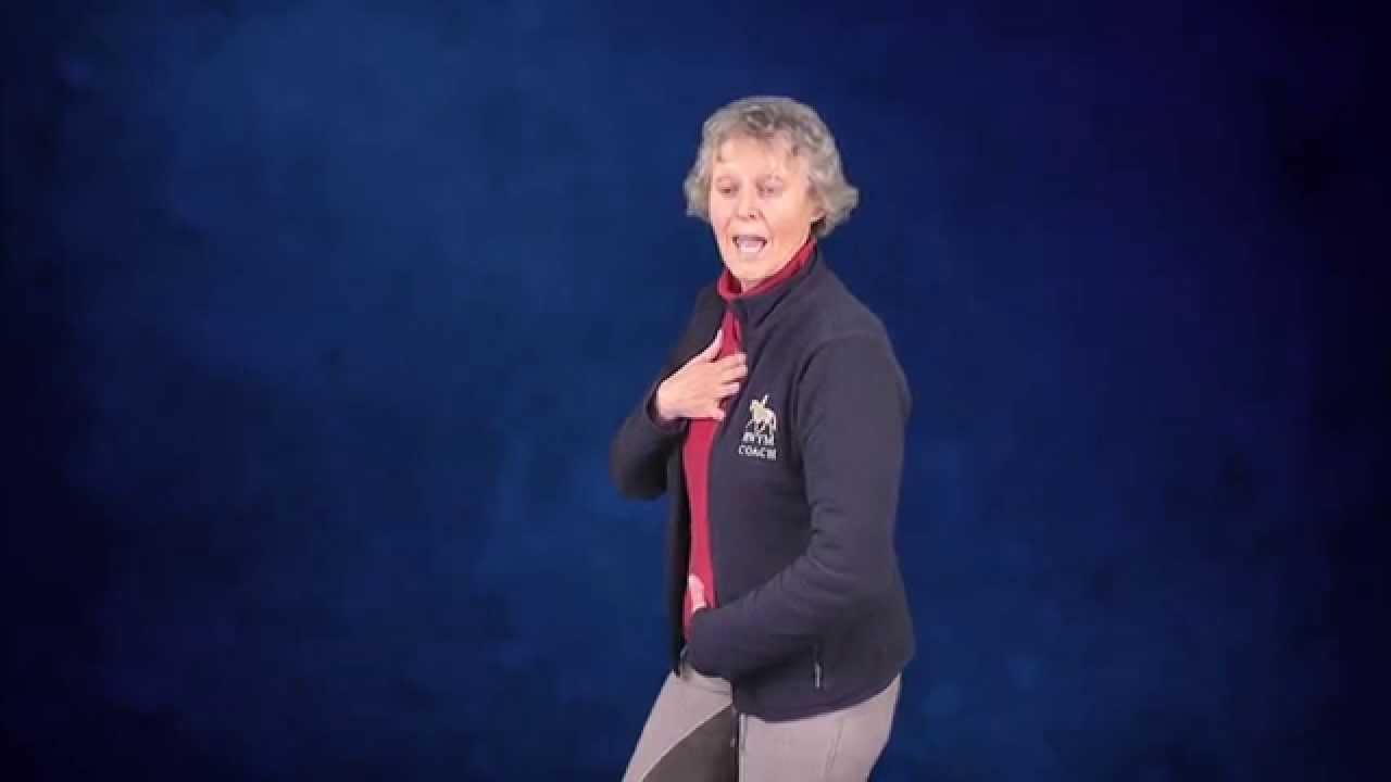 The Half Halt - Rider Biomechanics Explained
