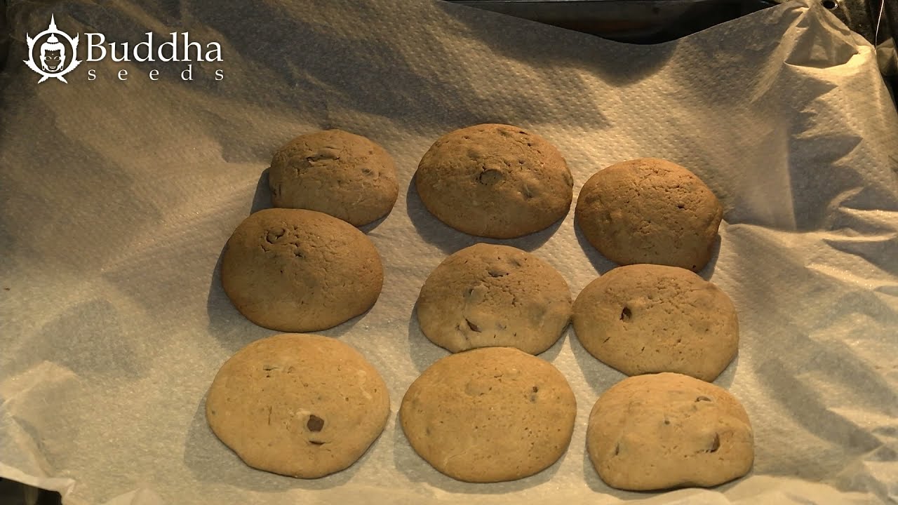 C&Oacute;MO HACER GALLETAS DE CANNABIS