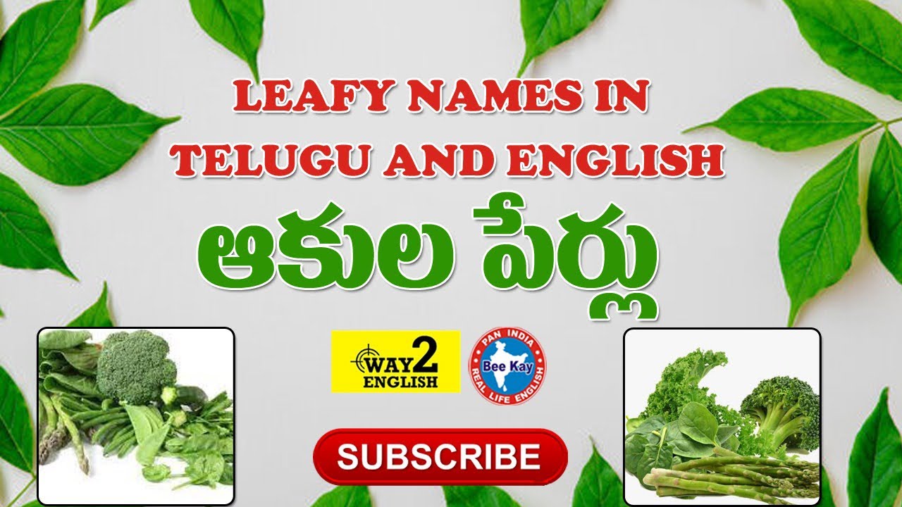 Leafy Names in Telugu and English | Leafy Vegetables in Telugu | leaf Vegetables in Telugu