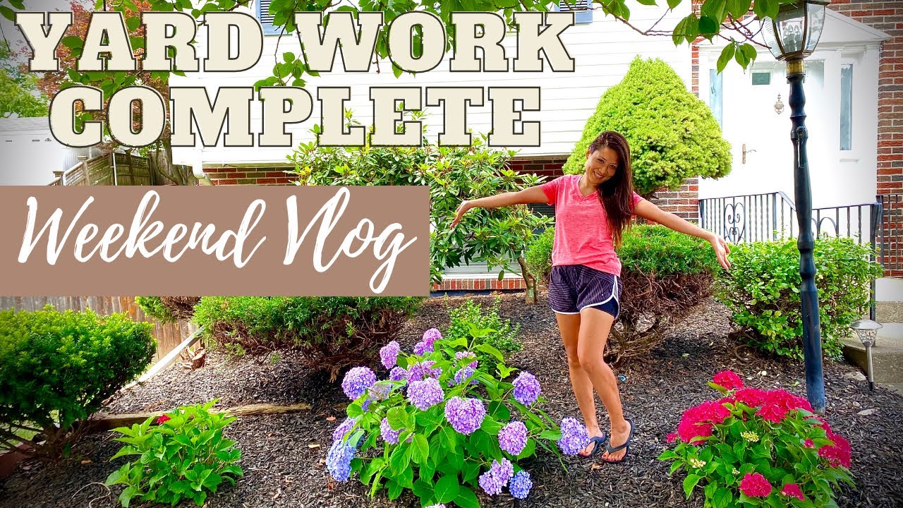 Yard work Complete I Weekend Vlog I Nepali Vlog