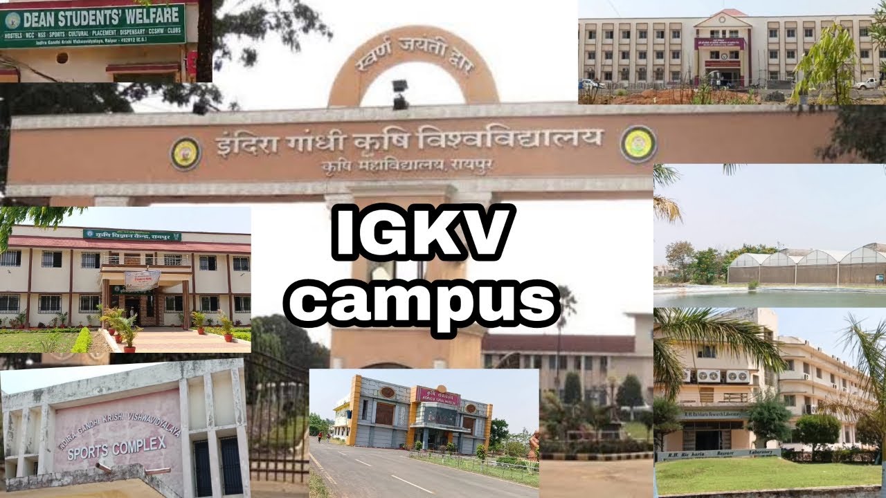 Indra Gandhi krishi Vishwavidyalaya || Igkv Raipur campus view कृषि महाविद्यालय #igkv #igkv_raipur