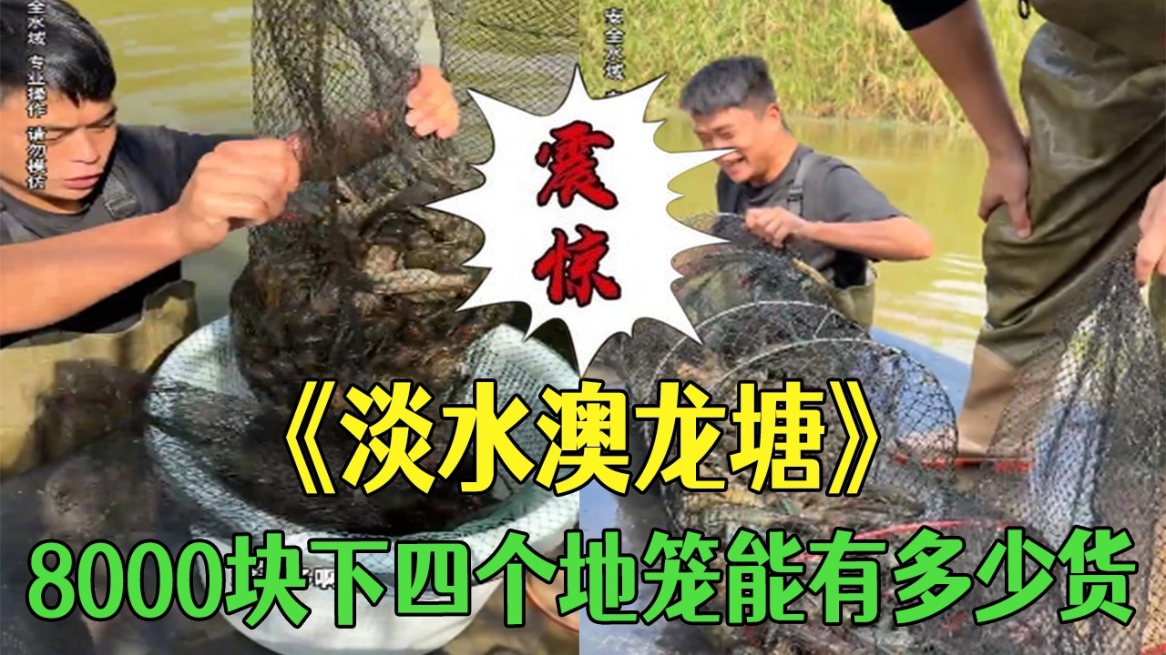 花8000塊在淡水澳龍塘裏放四個地籠，看看能有多少貨？#小飛哥#三農 #鄉村守護人 #鄉村生活#新農人計劃2026
