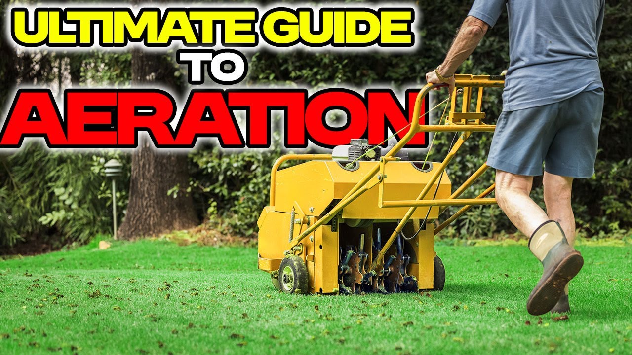 How to Aerate Your Lawn Step-by-Step Core Aeration Explained