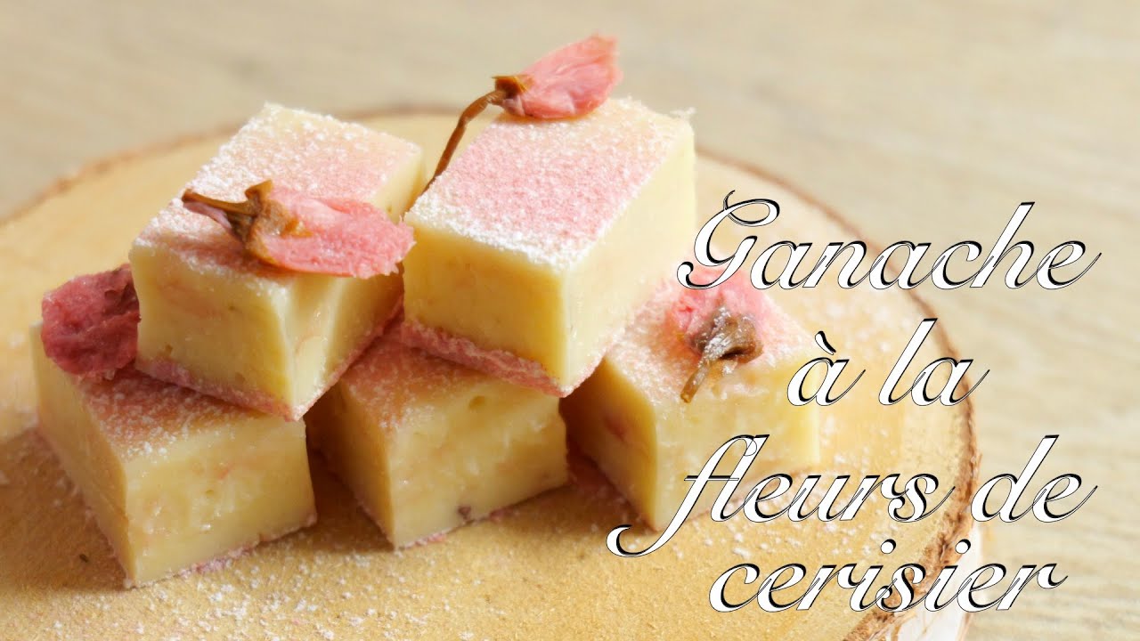 【桜の生ホワイトチョコレート】Ganache à la fleurs de cerisier 🌸/ How to make Cherry Blossom  White Chocolate