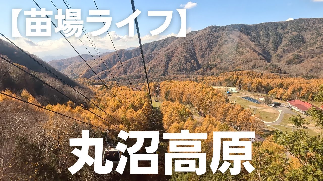 【苗場ライフ】日光白根山ロープウェイ　【Naeba Life】 Nikko Shirane Ropeway
